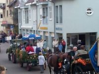 2005_100-jaehriges_Jubilaeum_Musikverein_Umzug_OGV_mit_Traktor_und_Festwagen_1834