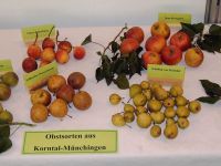 2006_Obstsorten-Ausstellung_1701