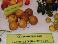 2006_Obstsorten-Ausstellung_1705