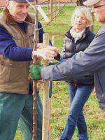 2010_Pflanzaktion_902